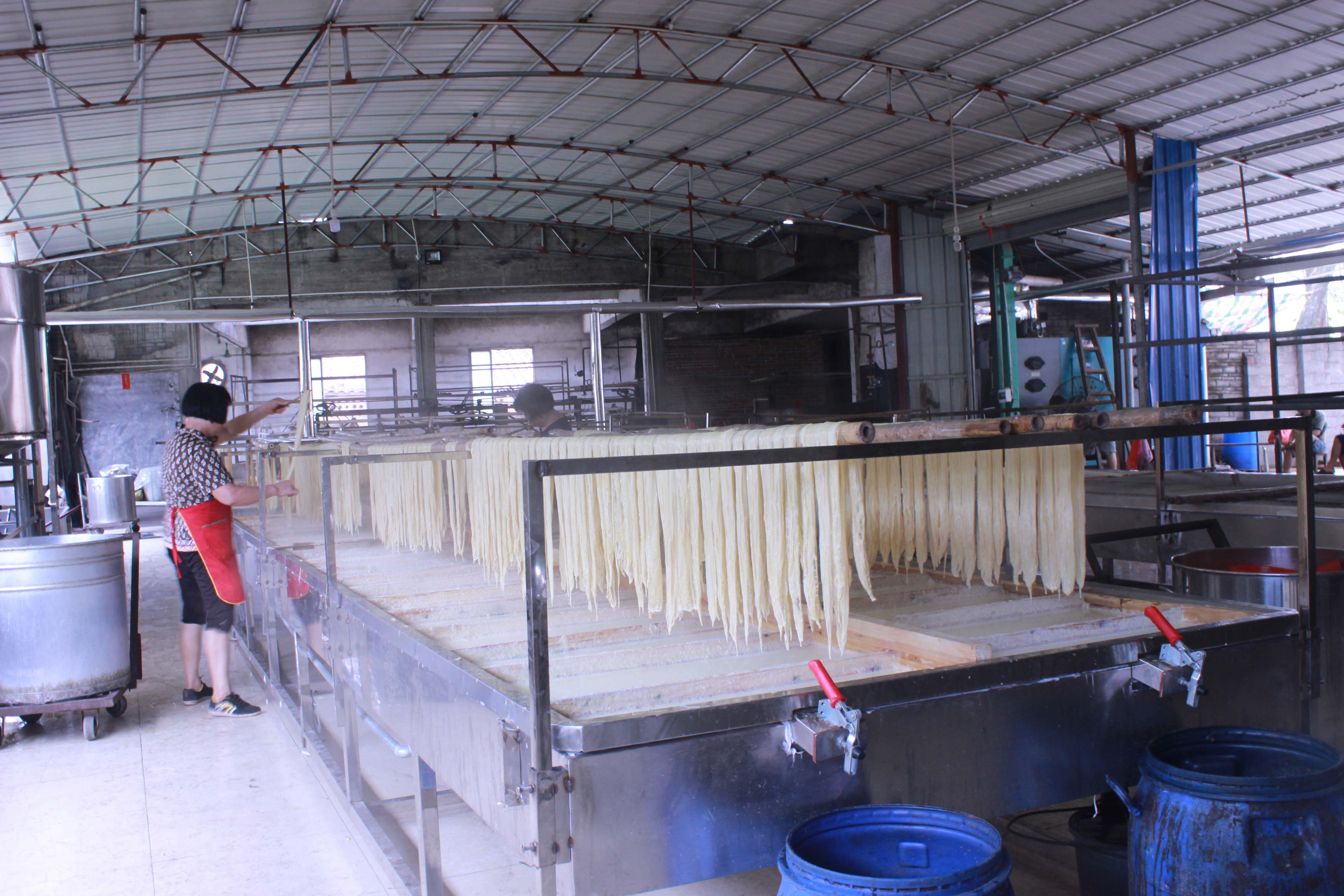 廣西生物質(zhì)蒸汽發(fā)生器價(jià)格